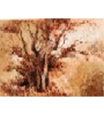 Arbol del olvido